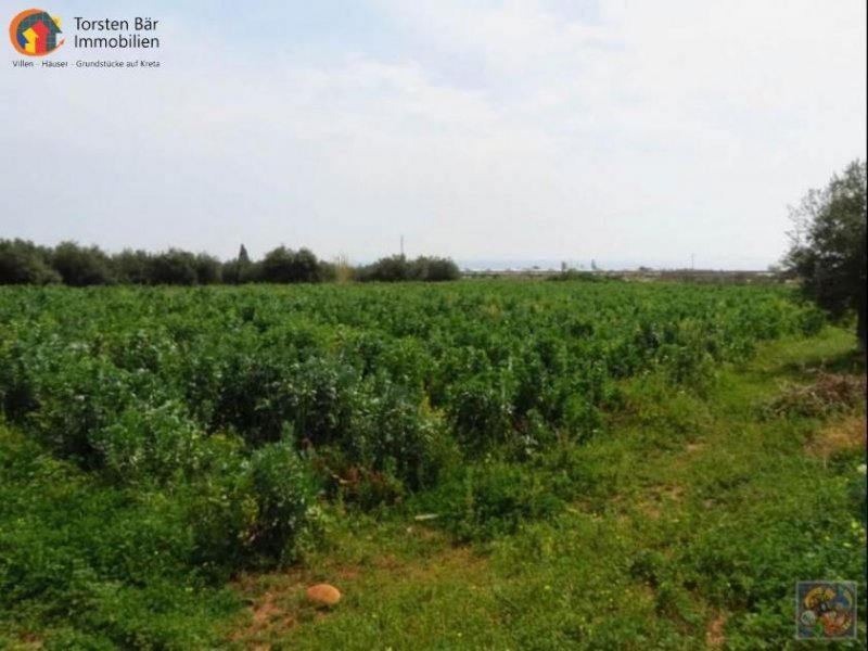 Makrigialos, Kreta, Makrigialos, Wunderschönes Grundstück mit Meerblick Grundstück kaufen